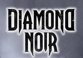 logo Diamond Noir